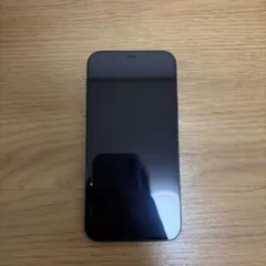 Apple iPhone12 128GB ブラック本体 ケース、箱おまけ iPhone12 本体 128GB ブラック simフリー スマホカバー、箱付