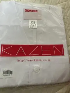 Item thumbnail for item 49f9f909-8d8c-4648-bde0-400bb7f7799c