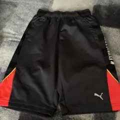 Item thumbnail for item 323cce98-d022-44bc-938c-a2771d85a717