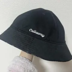 Item thumbnail for item f0f79677-6f70-4ff6-94c9-6809545abd76