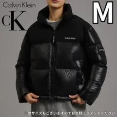 Item thumbnail for item ad98cf94-9256-49d8-8587-0f1f31852854