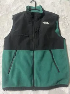 美品ザノースフェイス　デナリベスト　緑