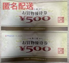 ヤマダ電機　お買物優待券 500円 2枚セット