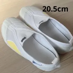 Item thumbnail for item ba2599e9-9aa6-47c3-8f4e-3198df1181a5