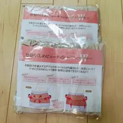 Item thumbnail for item 29146167-ec72-4722-8a5a-4211f11953f0