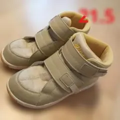 Item thumbnail for item 33659871-2163-4293-9da3-6d0dab3155eb