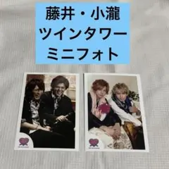 藤井流星・小瀧望　ツインタワー　ミニフォト