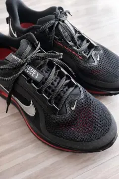 Nike ペガサスプレミアム　26.0