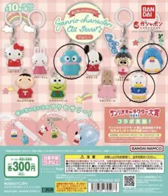 サンリオ　めじるしアクセサリー　ハンギョドン　タキシードサム　あひるのペックル