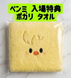 ペンミ入場特典 Stray Kids フィリックス ポガリ タオル ポーチ付き