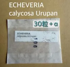 むぎ様 リクエスト 2点 まとめ商品