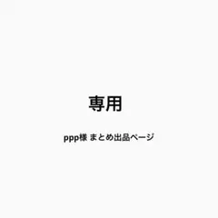 ppp様 リクエスト 2点 まとめ商品