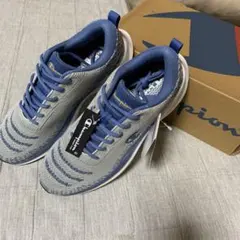 Champion(26.0) クラウドI