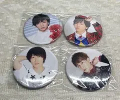 MeseMoa. フォーゲル 缶バッジ あおい にーちゃん