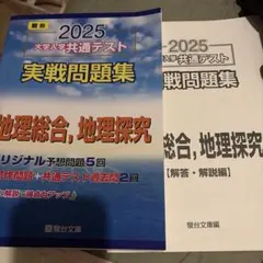 2025 大学入学共通テスト実戦問題集 地理総合 地理探究 駿台のサムネイル