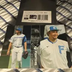 ミニフォトシークレット 伊藤大海