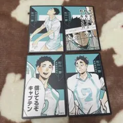 ハイキュー ボードゲーム ボドゲ 援 松川一静