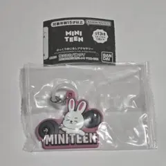 MINITEEN めじるしアクセ　CHOITCHERRY