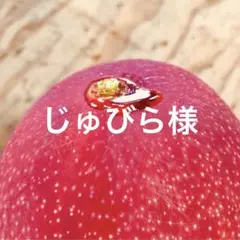 宮崎県産 完熟マンゴー 1.5kgのサムネイル