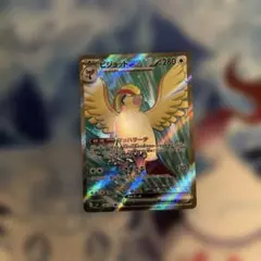 ピジョット SR SV3 黒炎の支配者 128/108 PSA10 Pidgeot ex SR 128/108 SV3 Ruler of the Black Flame - Pokemon Card