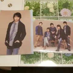 嵐 2013年 ライブツアー LOVE クリアファイル