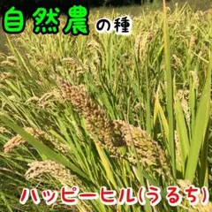 ♡clover com ♡様 リクエスト 5点 まとめ商品