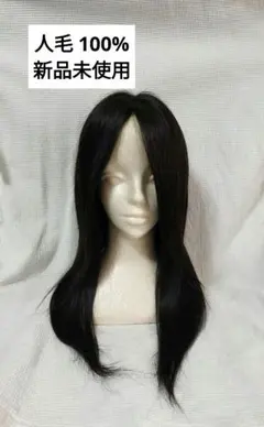 人毛100％　黒髪　フルウィッグ