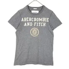 Abercrombie & Fitch ロゴT グレー 刺繍 S 半袖 Tシャツのサムネイル