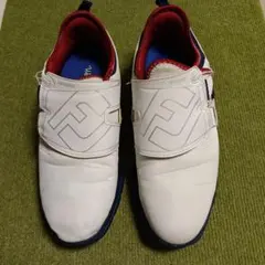 フットジョイ 25.5