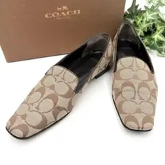 Item thumbnail for item c06af5f6-3805-430f-866b-aee84ad4a5e0