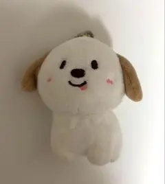 RIIZE アントン バレンタイン MD キーホルダー