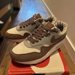 NIKE AIRMAX 1 エアマックス1 しましまのサムネイル
