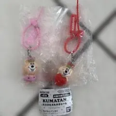 KUMATAN カラフルマルチチャーム 2種セット