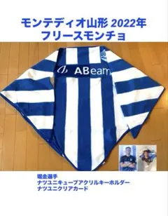 Item thumbnail for item 8104a019-399a-4cbe-aff3-61b3cdb21376