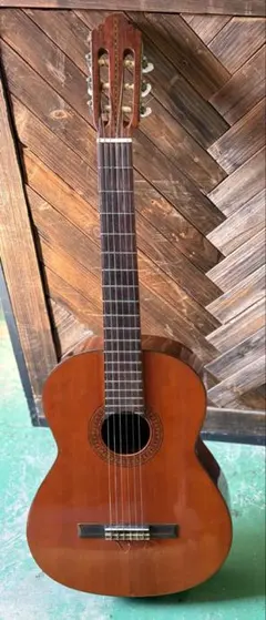 2026年最新】shinano guitar 53の人気アイテム - メルカリ