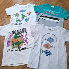 【匿名配送】デザイン Tシャツセット 100cm