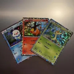 ポケモンカード プロモ サトシのキモリ/ハルカのアチャモ/タケシの