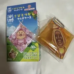 こびとづかん　マルチケース　タカラコガネ