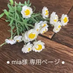 mia様専用●紫陽花と雪柳のブルーカラーリース◎15センチ