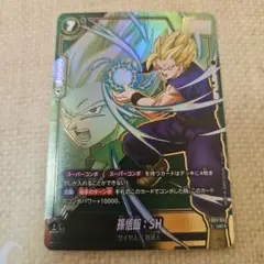 DBFW 孫悟飯：SH(パラレル) UC★ FB07-057