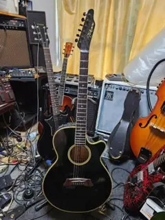 2026年最新】TAKAMINE NPT-110の人気アイテム - メルカリ