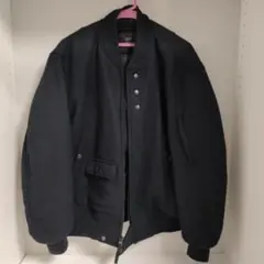 日本未発売 UNIQLOx ENGNIEERED GARMENTSブルゾン L