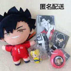 ハイキュー！！ガチャ　ぬいぐるみマスコット　黒尾　研磨　即購入可