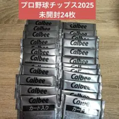 プロ野球チップス2025 第2弾 未開封カード24枚セット