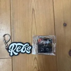 マットハームス 鹿児島レブナイズ キーホルダー 2種セット
