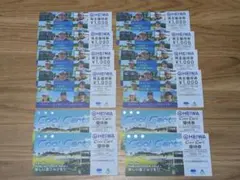 pgm 株主優待8,000円分+CoolCart4枚(期限2026.6)+おまけ