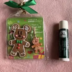 東京ディズニーリゾート クリスマス 2010 マグネット ストラップ