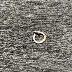 フープピアス ピアス(片耳用)