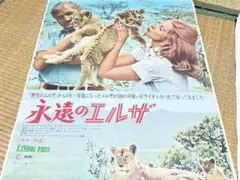 週刊小説 昭和52年 10月7日号 表紙 エルザ 実業之日本社 - メルカリ