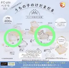 うちの子のけだまだま 犬 「柴犬・限定アソート黒柴」